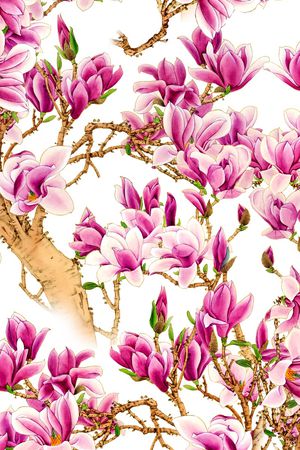 花卉印花花型图片