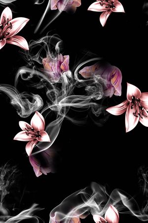 欧美印花花型图片