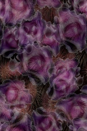 花朵印花花型图片