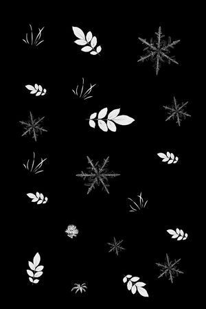 雪花印花花型图片
