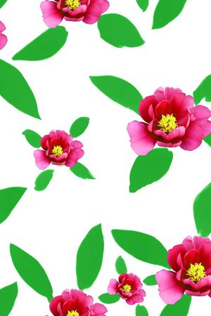 花瓣印花花型图片