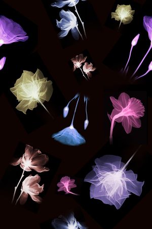 乱花印花花型图片