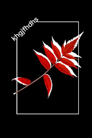 英文印花花型图片