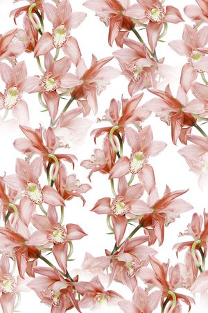 花卉印花花型图片