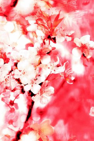 桃花印花花型图片