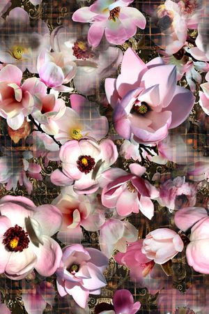 花朵印花花型图片