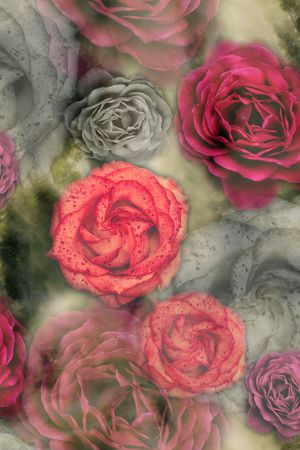 花卉印花花型图片
