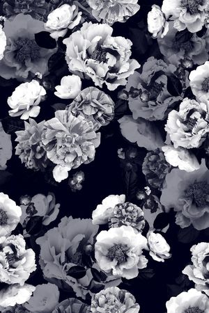 手绘印花花型图片