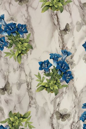 花鸟印花花型图片
