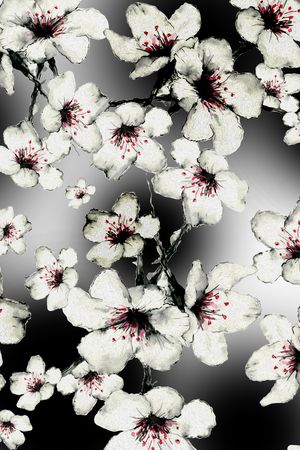 花卉印花花型图片