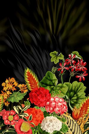 时尚印花花型图片