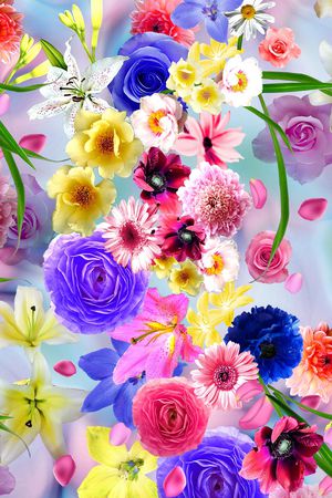 花朵印花花型图片