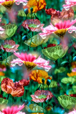 时尚印花花型图片