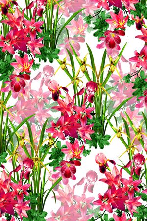 花朵印花花型图片