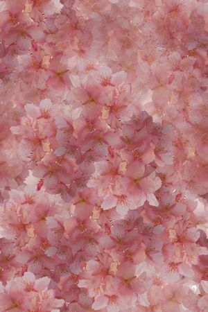 淡雅印花花型图片