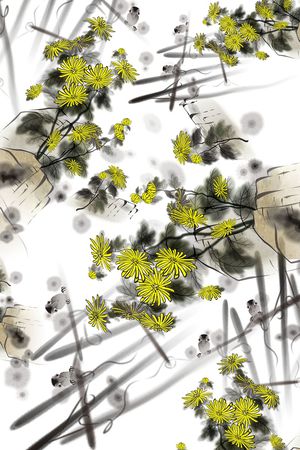 雏菊印花花型图片