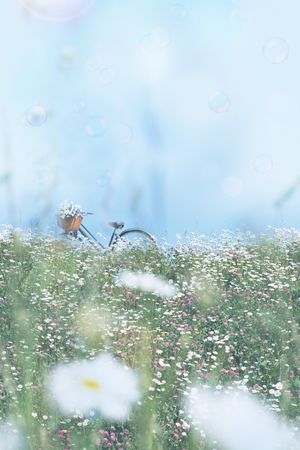 乱花印花花型图片