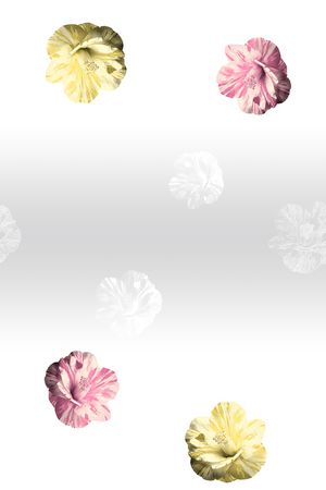 定位印花花型图片