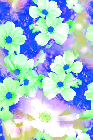 花朵印花花型图片