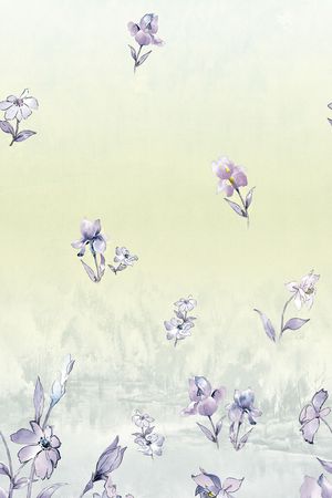 彩条印花花型图片
