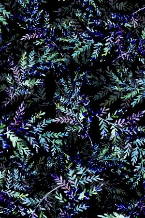 水彩印花花型图片