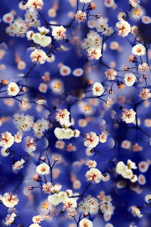 花卉印花花型图片