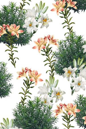 玉兰花印花花型图片