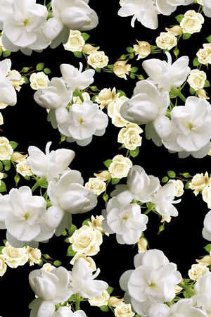 菊花印花花型图片