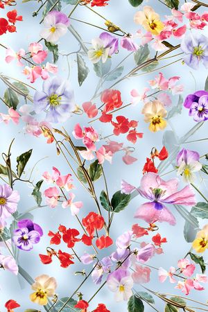 碎花印花花型图片