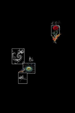 动物印花花型图片
