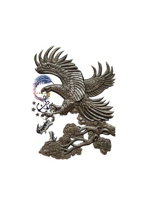 老鹰印花花型图片