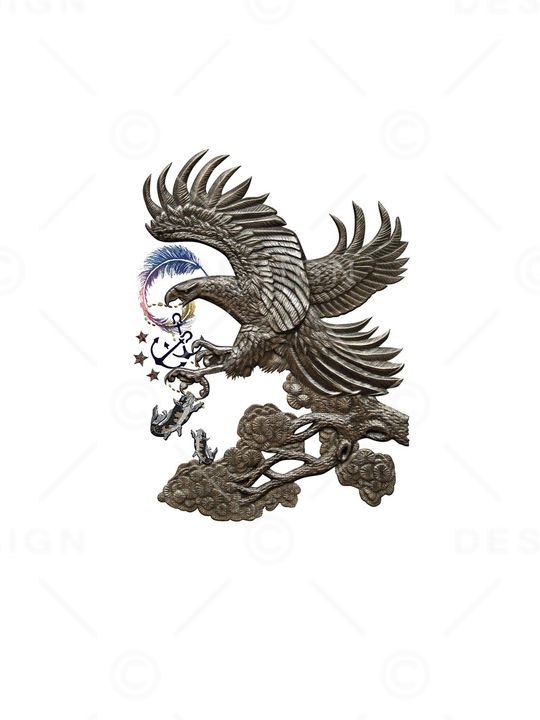 老鹰印花花型图片