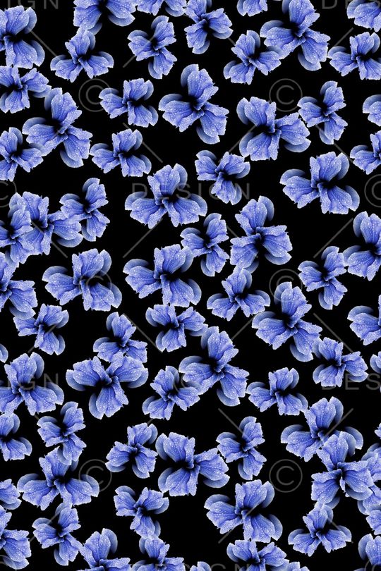 花朵印花花型图片