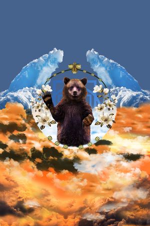 熊印花花型图片