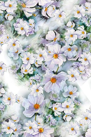 colorise印花花型图片