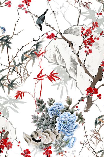 女装印花花型图片