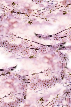 数码花印花花型图片