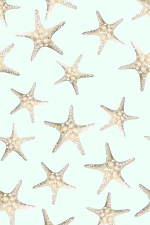 海星印花花型图片