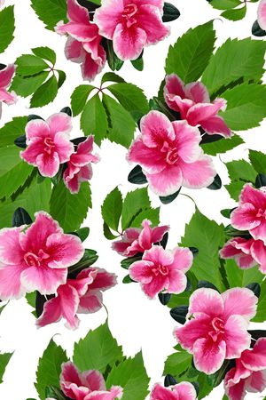 叶子印花花型图片