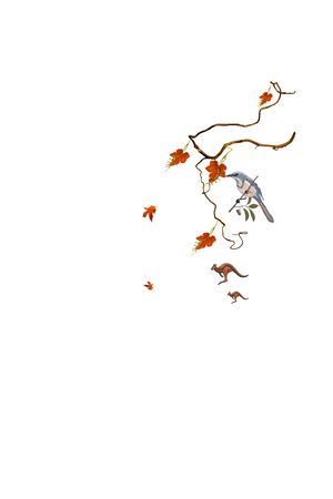 鸟印花花型图片