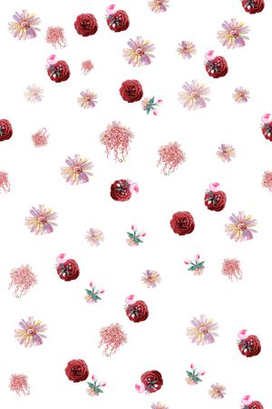 菊花印花花型图片