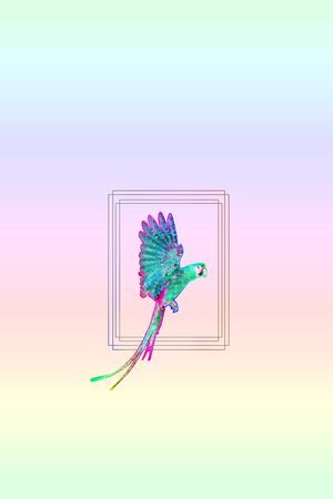 老鹰印花花型图片