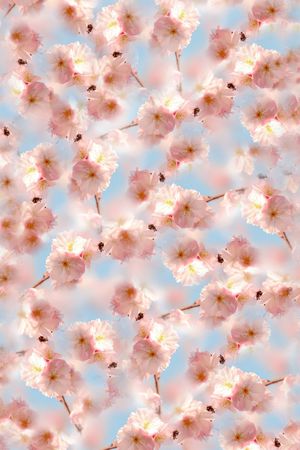 乱花印花花型图片