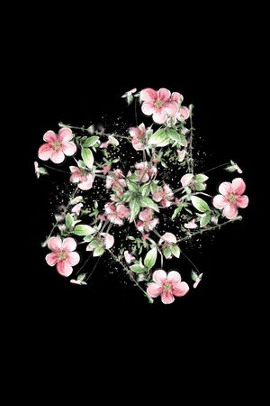 T恤印花花型图片