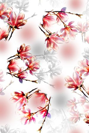 玉兰花印花花型图片