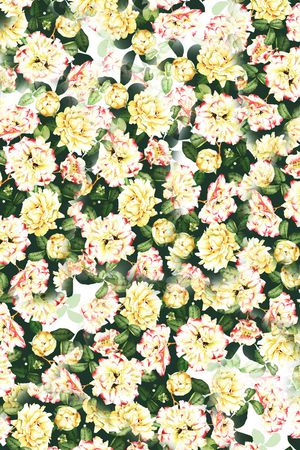 兰花印花花型图片