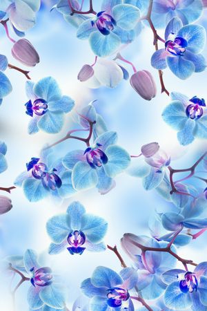 小碎花印花花型图片