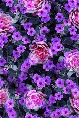 小碎花印花花型图片