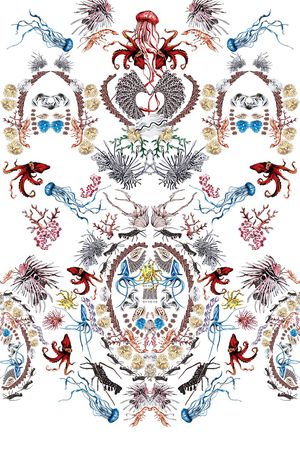 海洋生物印花花型图片