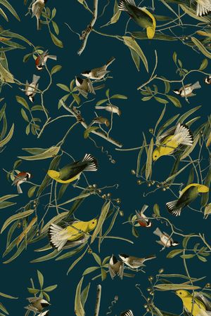 18复古手绘插画黄鹂鸟印花花型图片